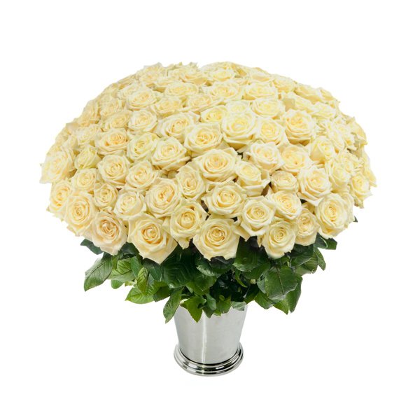 Цветы 99 роз. Букет из белых роз. Букет кремовых роз. Букет из 100 роз.