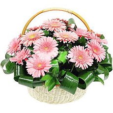 Корзинка из гербер