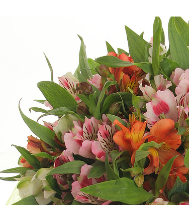 Букет из цветов альстромерии