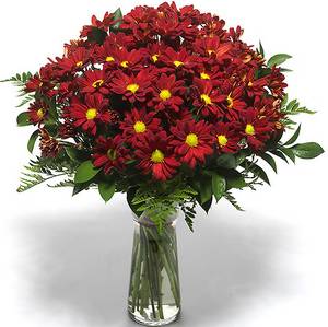 Букет из хризантем и папоротника