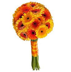 Букет большой из гербер Солнце