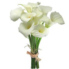 Букет из калл